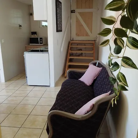 アパート Aux Logis Du De Castillon サン・ジュリアン・デュ・ヴェルドン